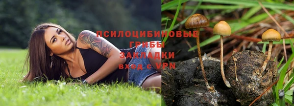 твердый Козельск