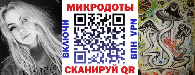 Псилоцибиновые грибы Cubensis  Светогорск 